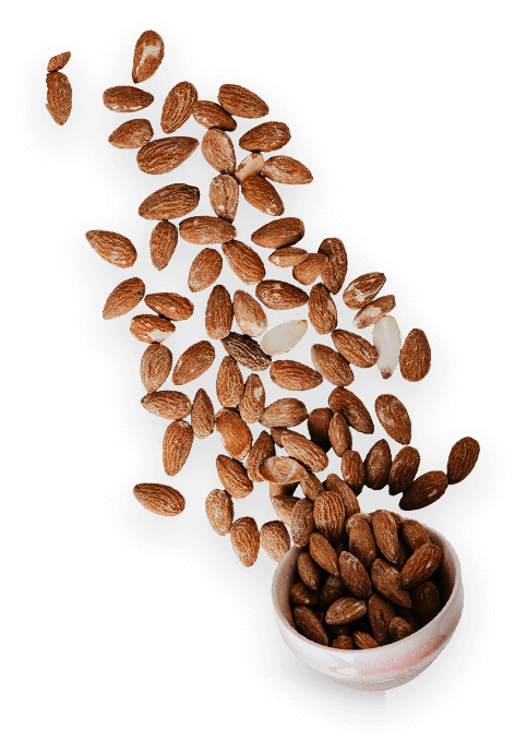 A cup of almonds is being poured into it.